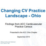 Practice Census 2010